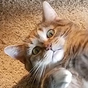 Meet your Posher, Krystal